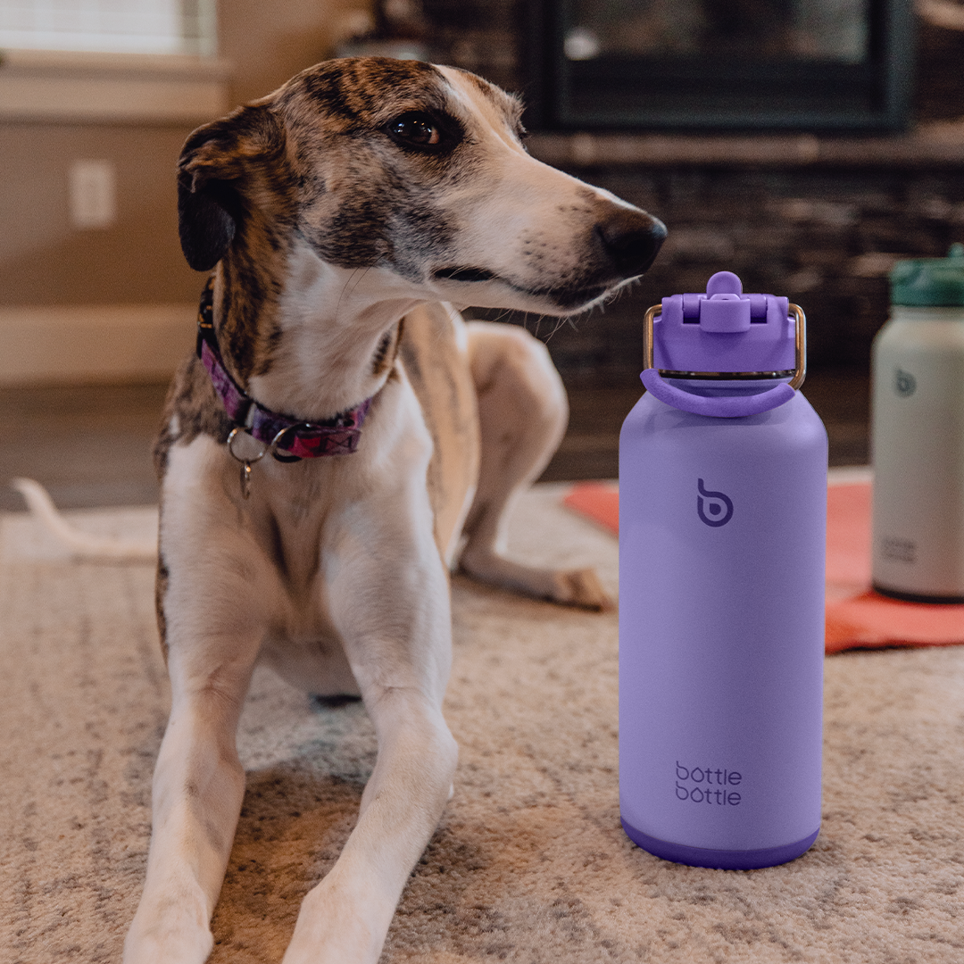 Hydro X Bottle 32oz bottlebottle